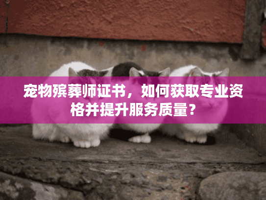 宠物殡葬师证书，如何获取专业资格并提升服务质量？
