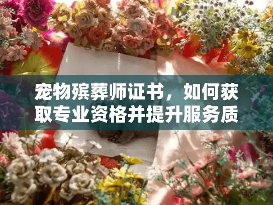 宠物殡葬师证书，如何获取专业资格并提升服务质量？