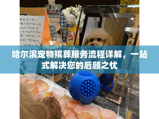 哈尔滨宠物殡葬服务流程详解,一站式解决您的后顾之忧 哈尔滨宠物殡葬服务流程详解,一站式解决您的后顾之忧