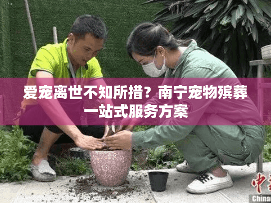 爱宠离世不知所措？南宁宠物殡葬一站式服务方案