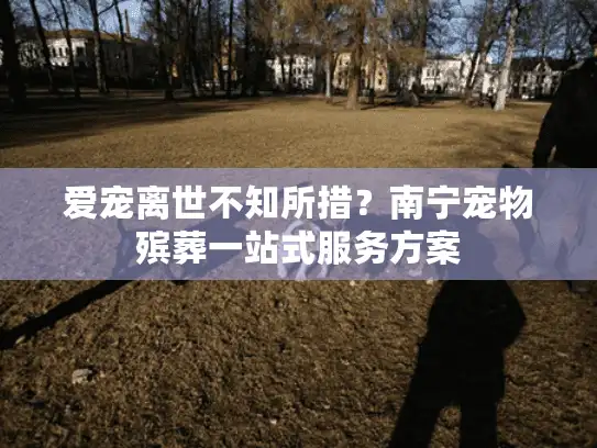 爱宠离世不知所措？南宁宠物殡葬一站式服务方案