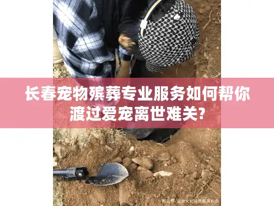长春宠物殡葬专业服务如何帮你渡过爱宠离世难关?