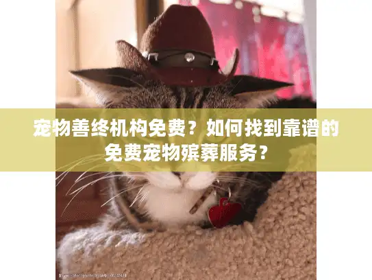 宠物善终机构免费？如何找到靠谱的免费宠物殡葬服务？