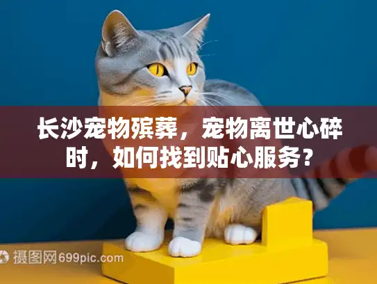 长沙宠物殡葬，宠物离世心碎时，如何找到贴心服务？