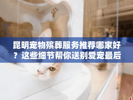 昆明宠物殡葬服务推荐哪家好?这些细节帮你送别爱宠最后一程 昆明宠物殡葬服务推荐哪家好?这些细节帮你送别爱宠最后一程