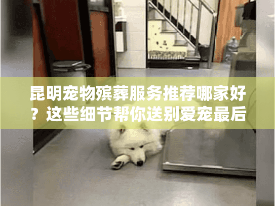 昆明宠物殡葬服务推荐哪家好?这些细节帮你送别爱宠最后一程 昆明宠物殡葬服务推荐哪家好?这些细节帮你送别爱宠最后一程