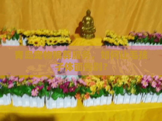 青岛宠物殡葬服务，如何让毛孩子体面告别？