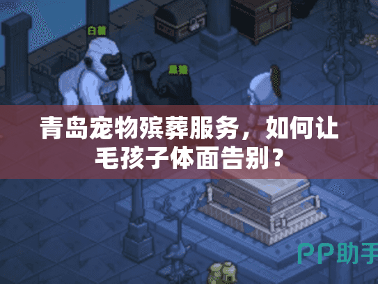 青岛宠物殡葬服务，如何让毛孩子体面告别？