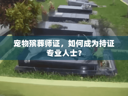 宠物殡葬师证，如何成为持证专业人士？