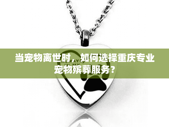 当宠物离世时，如何选择重庆专业宠物殡葬服务？