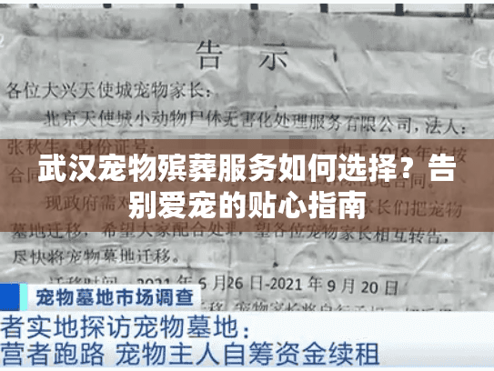 武汉宠物殡葬服务如何选择？告别爱宠的贴心指南
