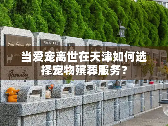 当爱宠离世在天津如何选择宠物殡葬服务？