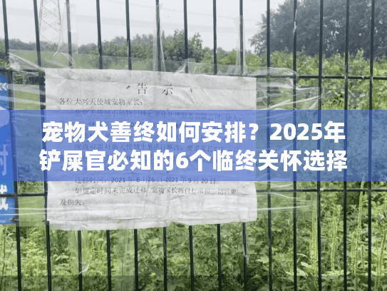 宠物犬善终如何安排？2025年铲屎官必知的6个临终关怀选择