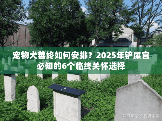 宠物犬善终如何安排？2025年铲屎官必知的6个临终关怀选择