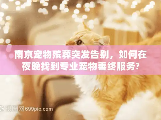 南京宠物殡葬突发告别，如何在夜晚找到专业宠物善终服务?