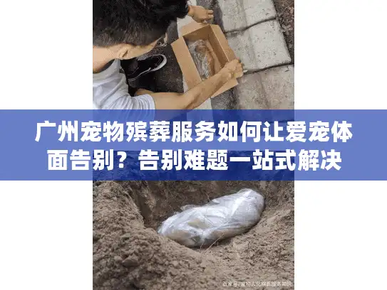 广州宠物殡葬服务如何让爱宠体面告别？告别难题一站式解决