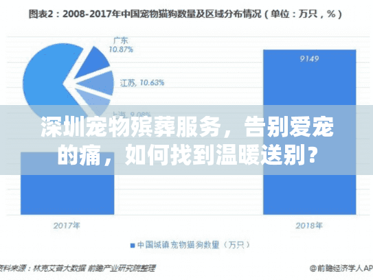 深圳宠物殡葬服务，告别爱宠的痛，如何找到温暖送别？