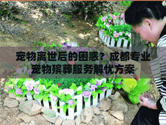 宠物离世后的困惑？成都专业宠物殡葬服务解忧方案