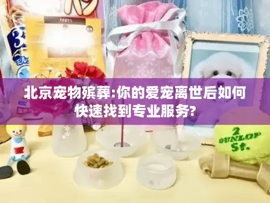 北京宠物殡葬:你的爱宠离世后如何快速找到专业服务?