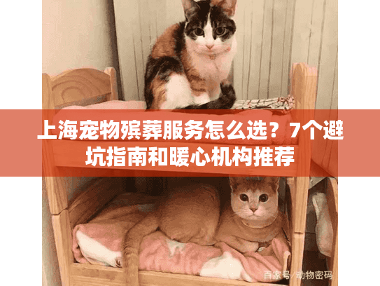 上海宠物殡葬服务怎么选？7个避坑指南和暖心机构推荐