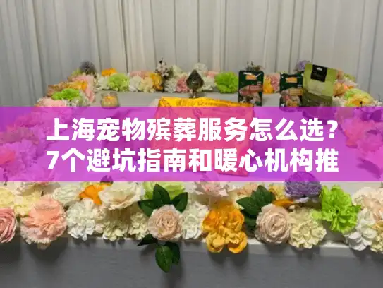 上海宠物殡葬服务怎么选？7个避坑指南和暖心机构推荐