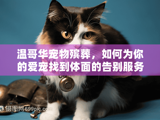 温哥华宠物殡葬，如何为你的爱宠找到体面的告别服务？