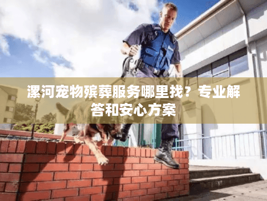 漯河宠物殡葬服务哪里找？专业解答和安心方案