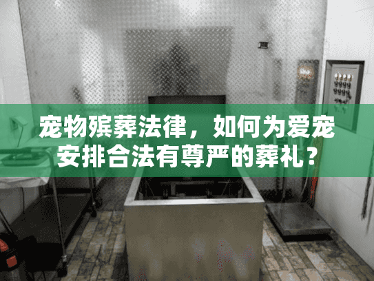 宠物殡葬法律，如何为爱宠安排合法有尊严的葬礼？