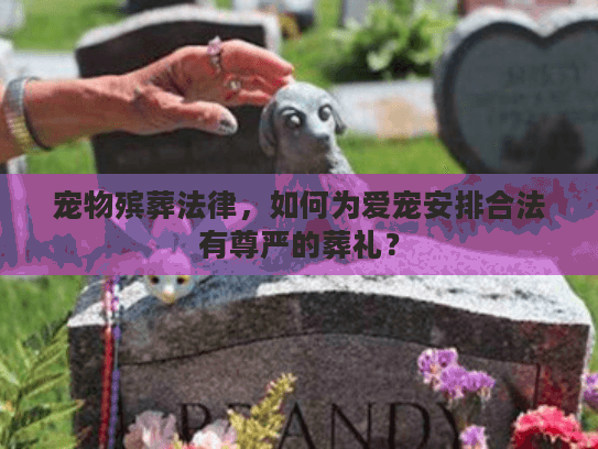 宠物殡葬法律，如何为爱宠安排合法有尊严的葬礼？