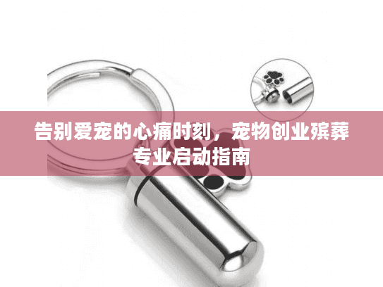 告别爱宠的心痛时刻，宠物创业殡葬专业启动指南