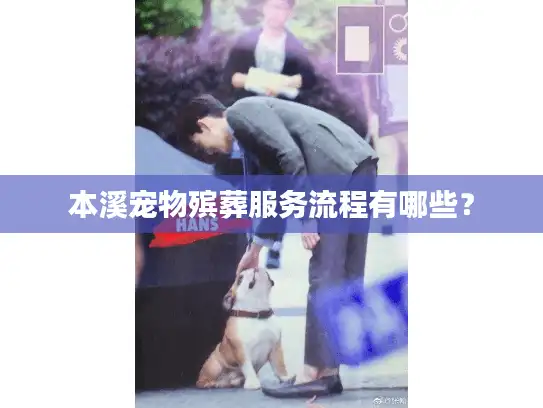 本溪宠物殡葬服务流程有哪些? 本溪宠物殡葬服务流程有哪些?