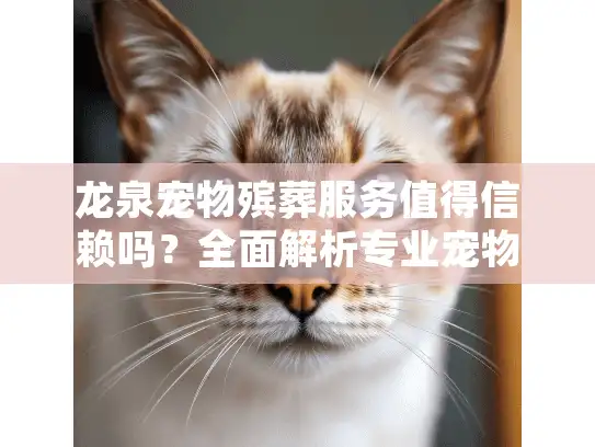 龙泉宠物殡葬服务值得信赖吗?全面解析专业宠物后事安排细节 龙泉宠物殡葬服务值得信赖吗?全面解析专业宠物后事安排细节