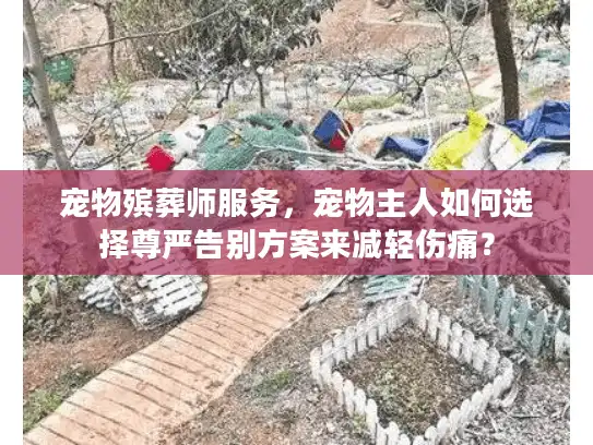 宠物殡葬师服务,宠物主人如何选择尊严告别方案来减轻伤痛? 宠物殡葬师服务,宠物主人如何选择尊严告别方案来减轻伤痛?