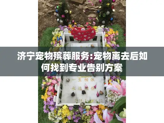 济宁宠物殡葬服务:宠物离去后如何找到专业告别方案 济宁宠物殡葬服务:宠物离去后如何找到专业告别方案