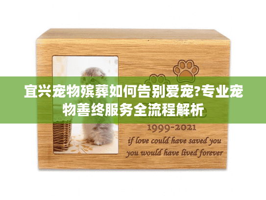 宜兴宠物殡葬如何告别爱宠?专业宠物善终服务全流程解析 宜兴宠物殡葬如何告别爱宠?专业宠物善终服务全流程解析