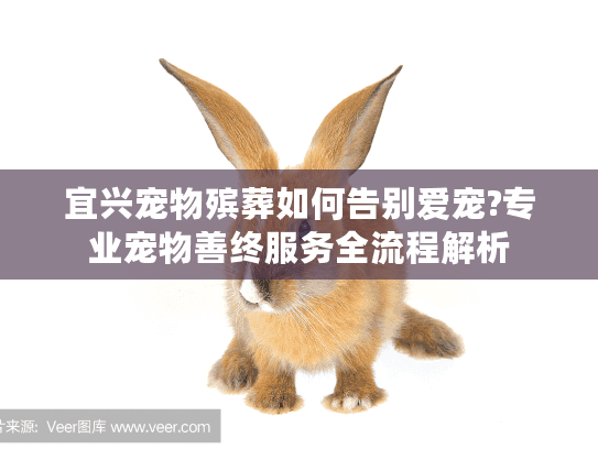 宜兴宠物殡葬如何告别爱宠?专业宠物善终服务全流程解析 宜兴宠物殡葬如何告别爱宠?专业宠物善终服务全流程解析