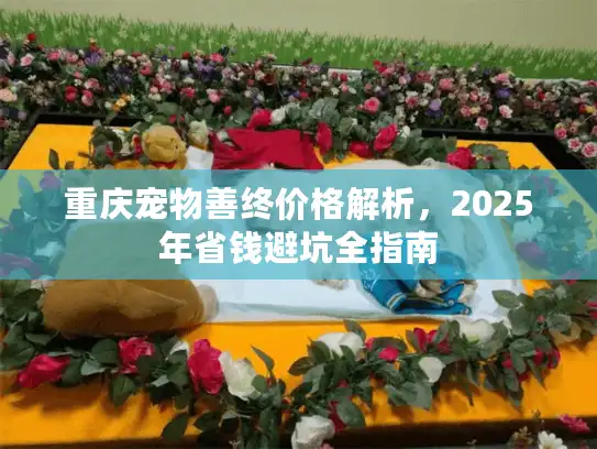 重庆宠物善终价格解析，2025年省钱避坑全指南