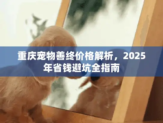 重庆宠物善终价格解析，2025年省钱避坑全指南