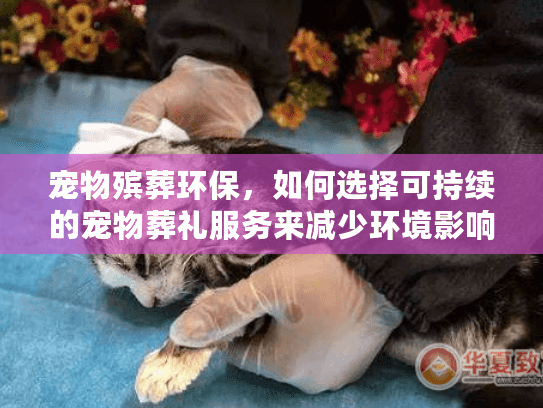 宠物殡葬环保,如何选择可持续的宠物葬礼服务来减少环境影响? 宠物殡葬环保,如何选择可持续的宠物葬礼服务来减少环境影响?