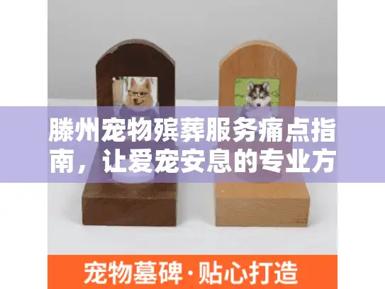 滕州宠物殡葬服务痛点指南，让爱宠安息的专业方案