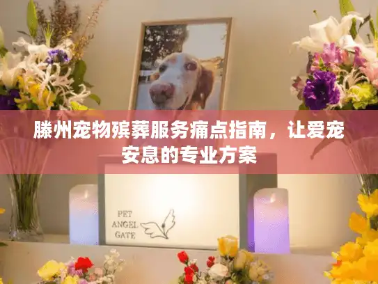滕州宠物殡葬服务痛点指南，让爱宠安息的专业方案