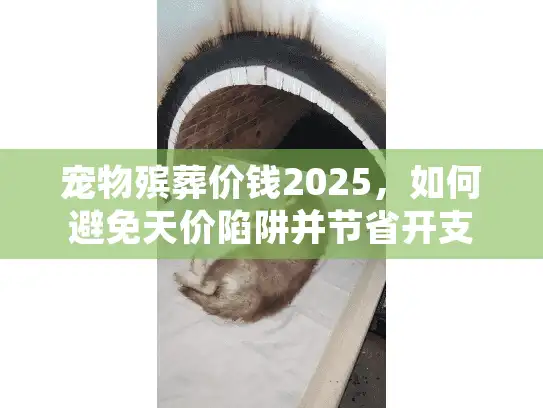 宠物殡葬价钱2025，如何避免天价陷阱并节省开支?