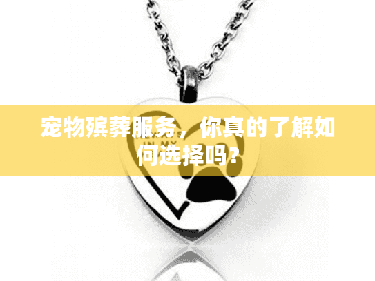 宠物殡葬服务，你真的了解如何选择吗？