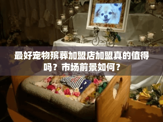 最好宠物殡葬加盟店加盟真的值得吗？市场前景如何？