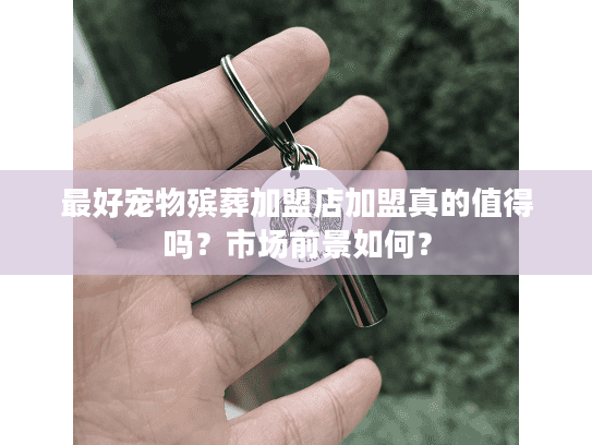 最好宠物殡葬加盟店加盟真的值得吗？市场前景如何？