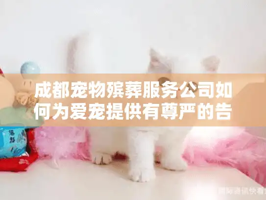成都宠物殡葬服务公司如何为爱宠提供有尊严的告别？