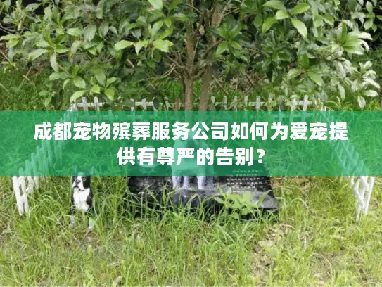 成都宠物殡葬服务公司如何为爱宠提供有尊严的告别？