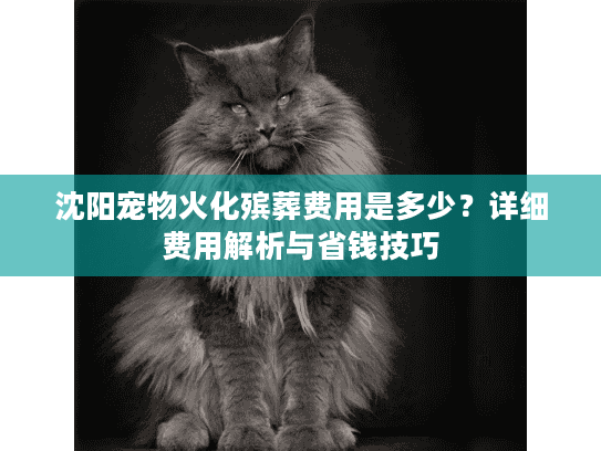 沈阳宠物火化殡葬费用是多少?详细费用解析与省钱技巧 沈阳宠物火化殡葬费用是多少?详细费用解析与省钱技巧