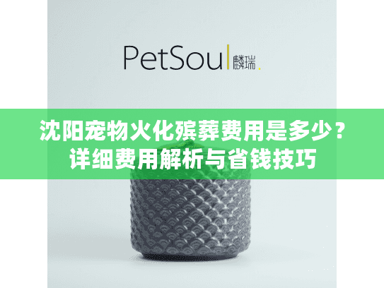 沈阳宠物火化殡葬费用是多少?详细费用解析与省钱技巧 沈阳宠物火化殡葬费用是多少?详细费用解析与省钱技巧
