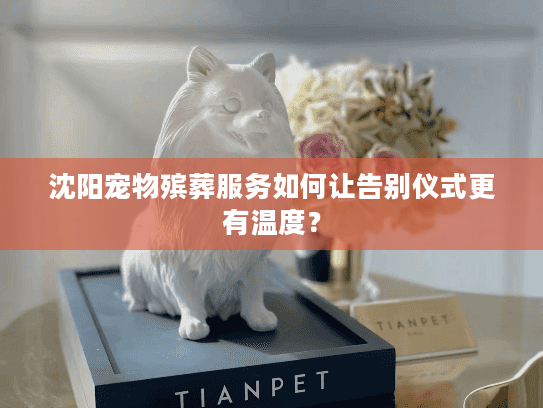 沈阳宠物殡葬服务如何让告别仪式更有温度? 沈阳宠物殡葬服务如何让告别仪式更有温度?
